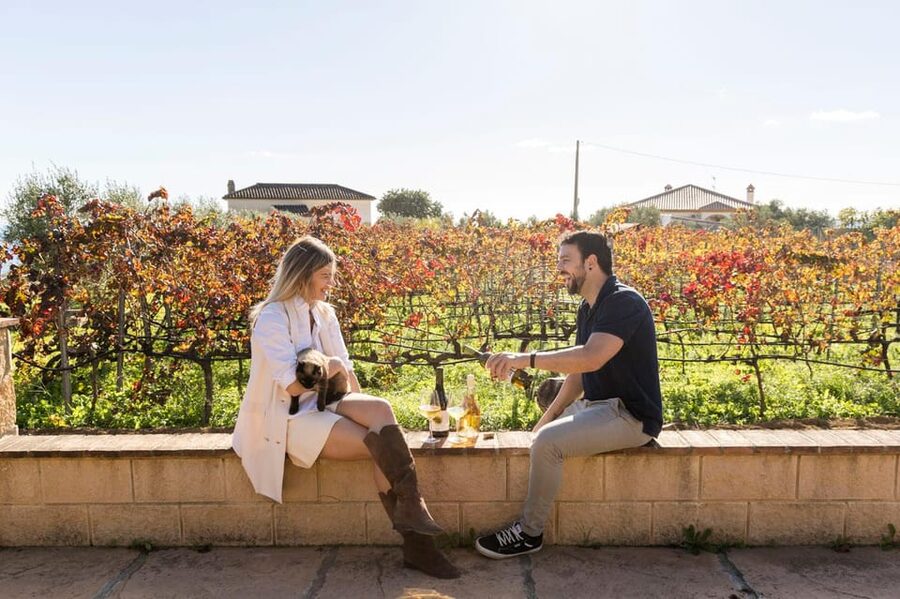 Malaga: Organic Vineyard Tour with 6 Wines, Tapas & Transfer - Vine Walk at Viñedo Malvajio: Organic Farming Up Close