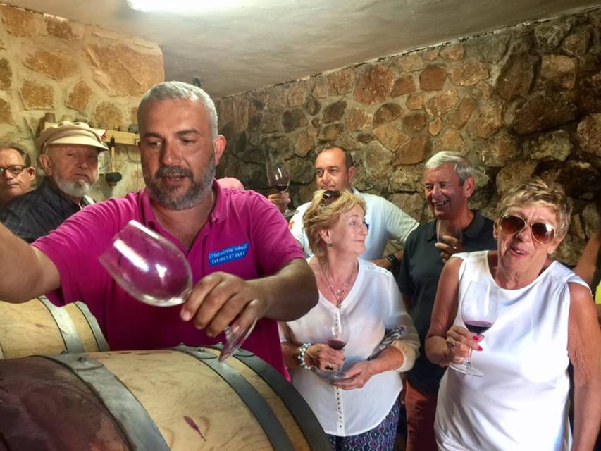 Malaga: Organic Vineyard Tour with 6 Wines, Tapas & Transfer - Group Size and Pace: How It Stays Relaxed