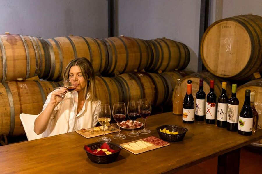 Malaga: Organic Vineyard Tour with 6 Wines, Tapas & Transfer - Price, Time, and the Kind of Day This Is
