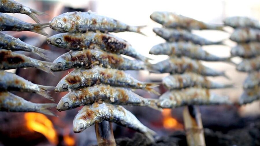 Malaga: Paella and Tapas Tour with The Best Flamenco Show - Guided strolls through Malaga: history in short bursts