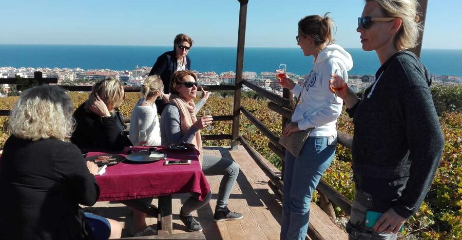 Manilva: Nilva Vineyard, Wine Tasting & Tapas Guided Tour - Manilva’s Vineyards: Sea Air, Old Vines, and Real Purpose