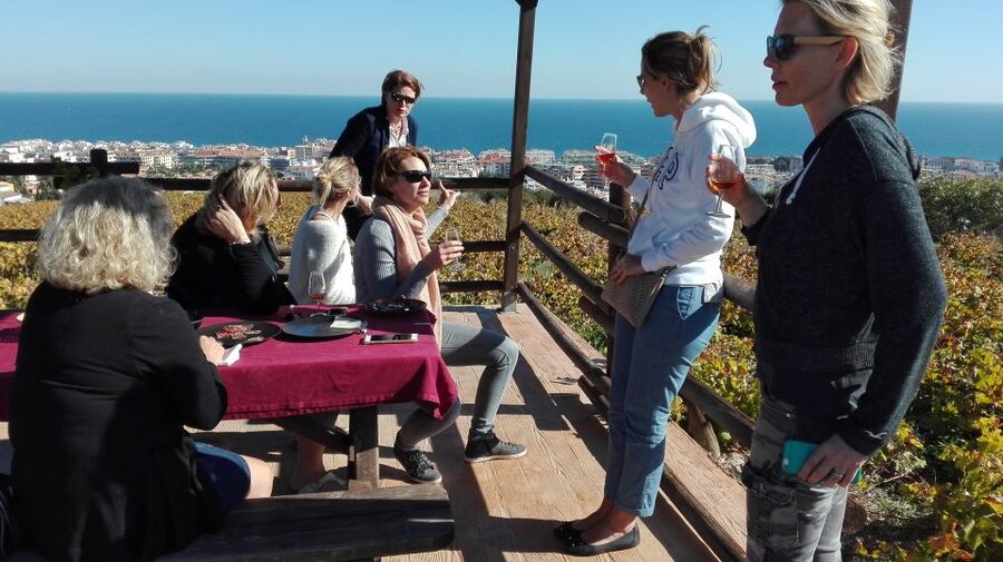 Manilva: Nilva Vineyard, Wine Tasting & Tapas Guided Tour - Nilva Winery Visit: Small-Producer Energy Without the Big-Tour Show