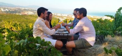 Manilva: Nilva Vineyard, Wine Tasting & Tapas Guided Tour - Civima Wine Museum: The Quick Education That Makes Tasting Make Sense