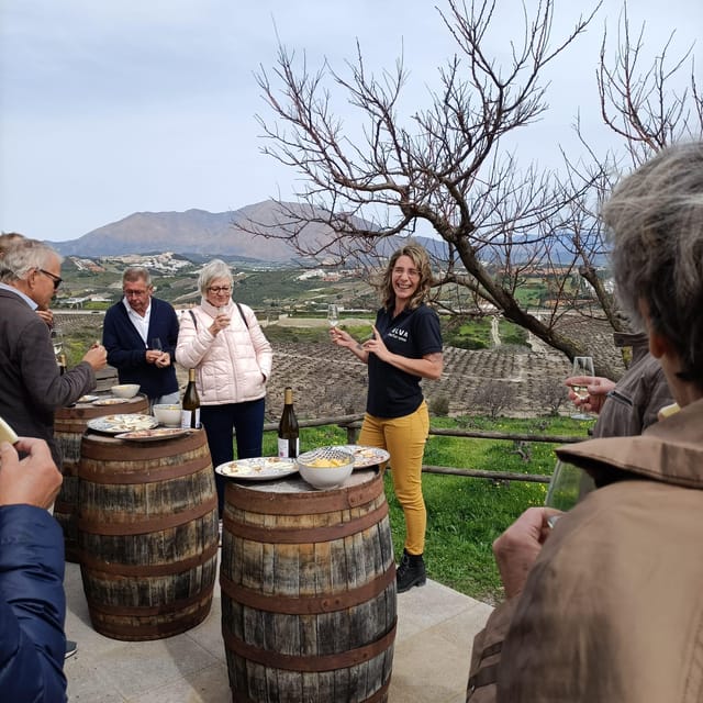 Manilva: Nilva Vineyard, Wine Tasting & Tapas Guided Tour - Sunset Views Over Mediterranean and Africa: How to Get the Most Out of the Tasting