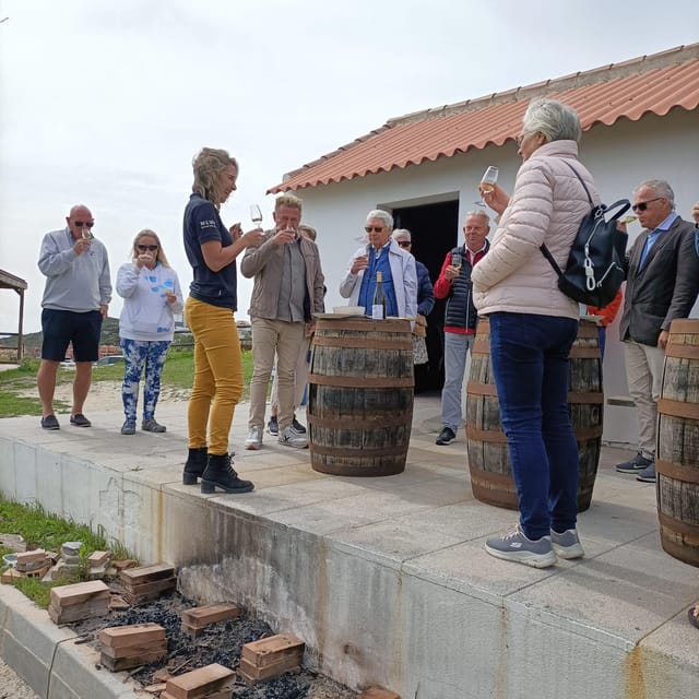 Manilva: Nilva Vineyard, Wine Tasting & Tapas Guided Tour - Practical Logistics: How to Plan Your Day Without Stress