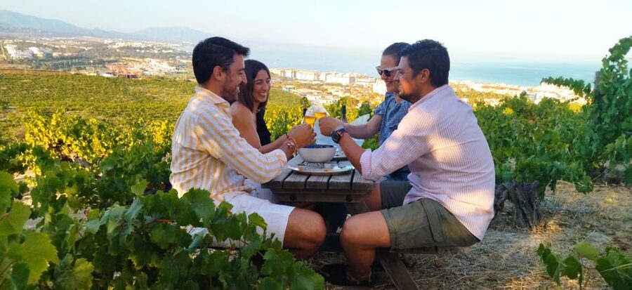 Manilva: Nilva Vineyard, Wine Tasting & Tapas Guided Tour - Civima Wine Museum: The Quick Education That Makes Tasting Make Sense