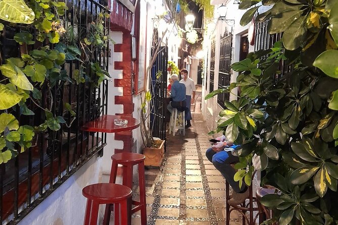 Marbella Tapas Tour - Who This Tour Suits Best (and Who Should Skip It)