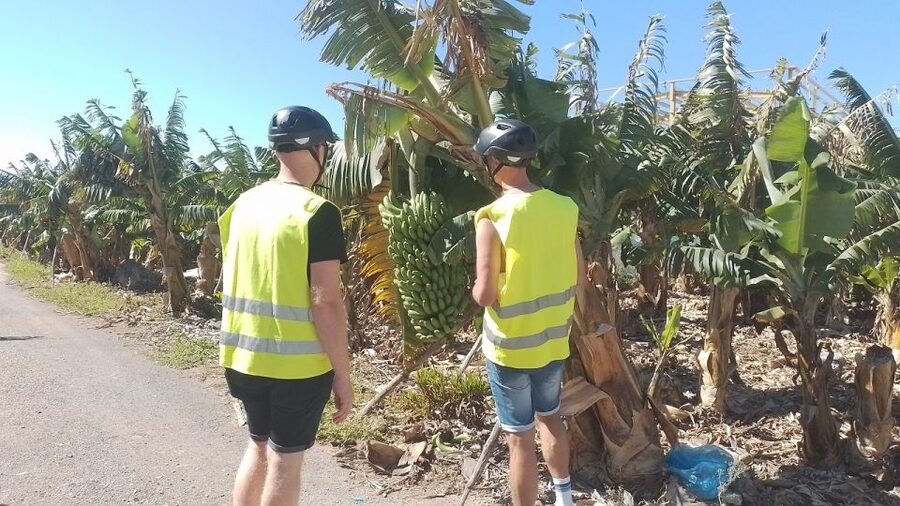 Maspalomas: Southern Coast E-Bike Tour Option Tapas Tasting - El Pajar fishing village + volcanic beach time