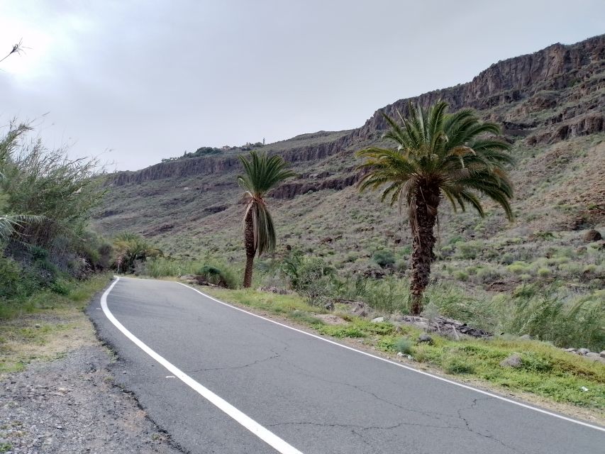 Maspalomas: Southern Coast E-Bike Tour Option Tapas Tasting - Southern Coast by e-bike: the vibe and who it suits