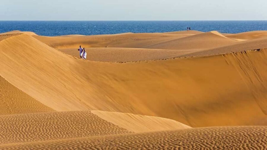 Maspalomas: Southern Coast E-Bike Tour Option Tapas Tasting - The e-bike set-up: what’s included (and what isn’t)