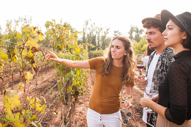 Montserrat & Cogwheel Train, Gourmet Wine Tasting & Tapas/Lunch - Guides and Group Size: How You Get a Better Day