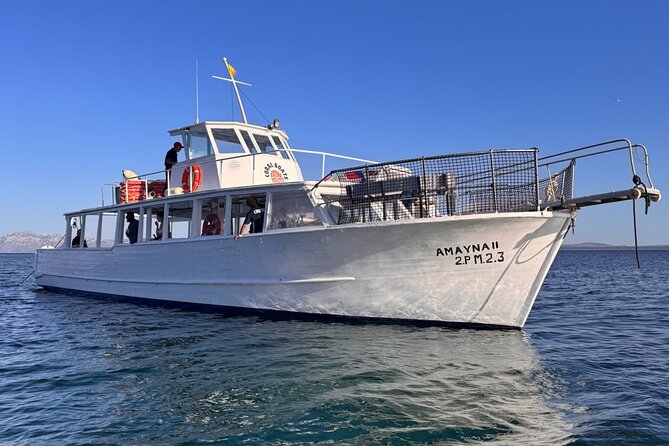Morning Boat Trip in Alcudia with Swim Stop & Tapas - Who should book this Alcúdia morning boat trip (and who should skip it)