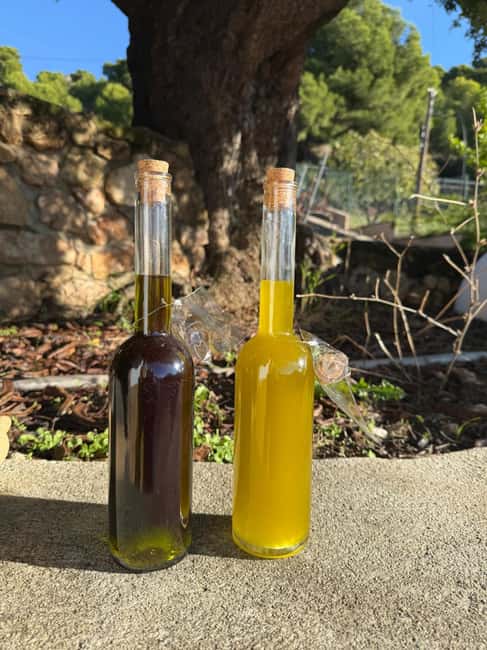 Near Malaga: Mijas Organic Vineyard, 5 Wines, 2 Oils & Tapas - The Vineyard Walk: What Organic Means in Everyday Choices