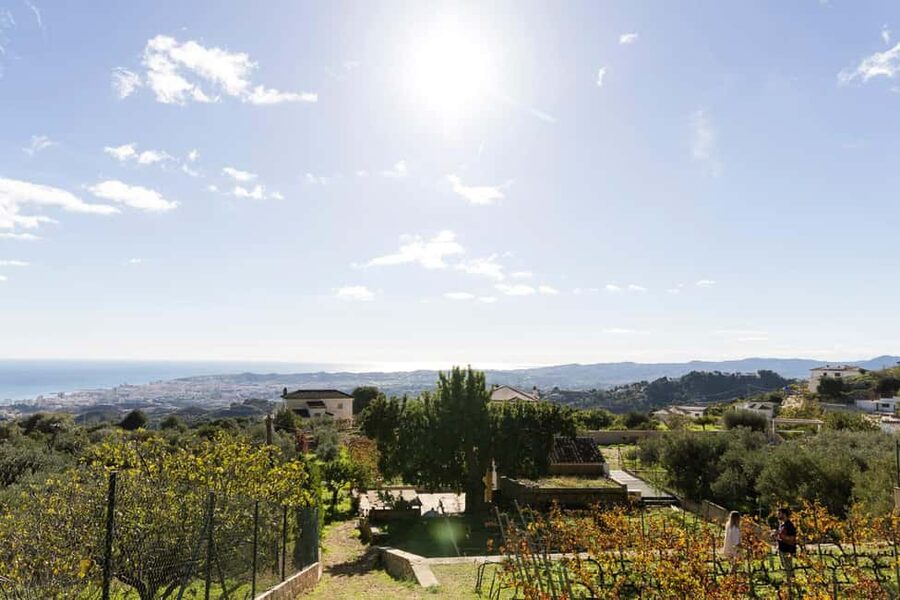 Near Malaga: Mijas Organic Vineyard, 5 Wines, 2 Oils & Tapas - Tasting 5 Natural Organic Wines (No Added Sulphites)