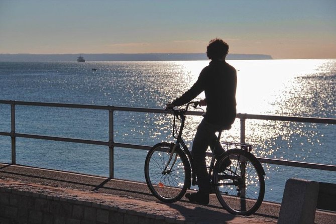 Palma de Mallorca 3-Hour Highlights and Tapas Tasting Bike Tour - Es Baluard views: a quick history primer with Bay energy