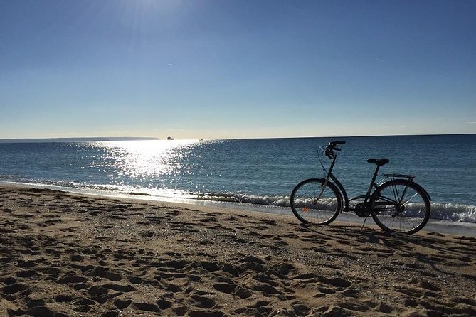 Palma de Mallorca 3-Hour Highlights and Tapas Tasting Bike Tour - La Seu (Cathedral of Mallorca): your “wow” moment