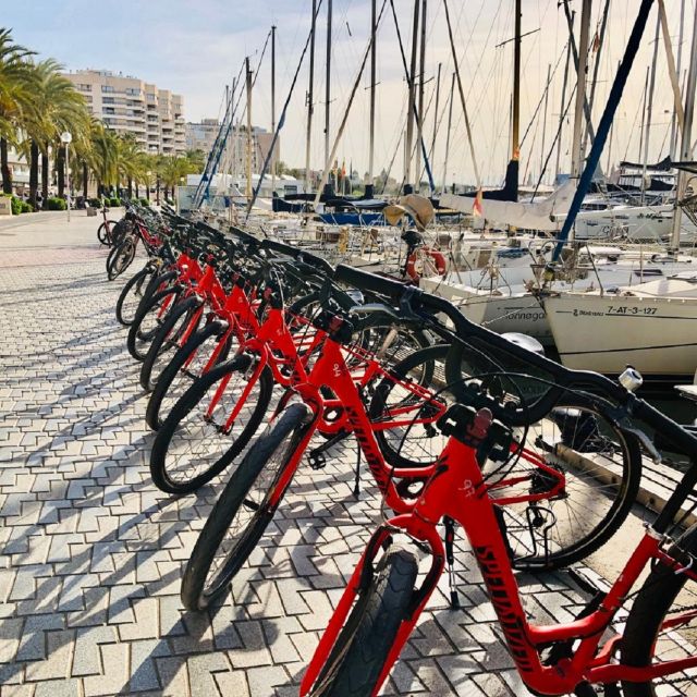 Palma de Mallorca: Guided Bicycle Tour with Tapas & a Drink - Key things to know before you ride