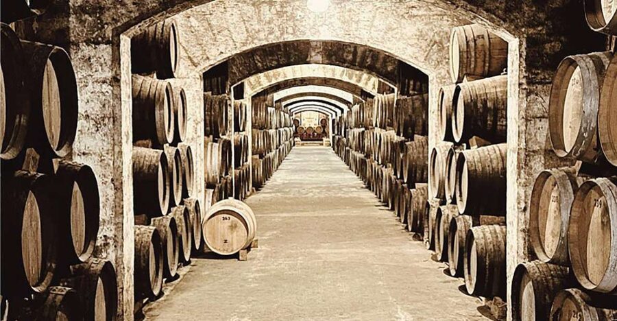 Palma: Distillery Tour with 6 Spirits and Tapas Tasting - 105 Minutes of Real Tasting: What the Timing Means for You