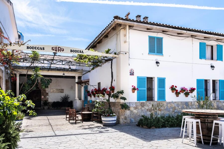 Palma: Distillery Tour with 6 Spirits and Tapas Tasting - The Tasting Lineup: 15, 25, and 50-Year Brandy From the Barrel