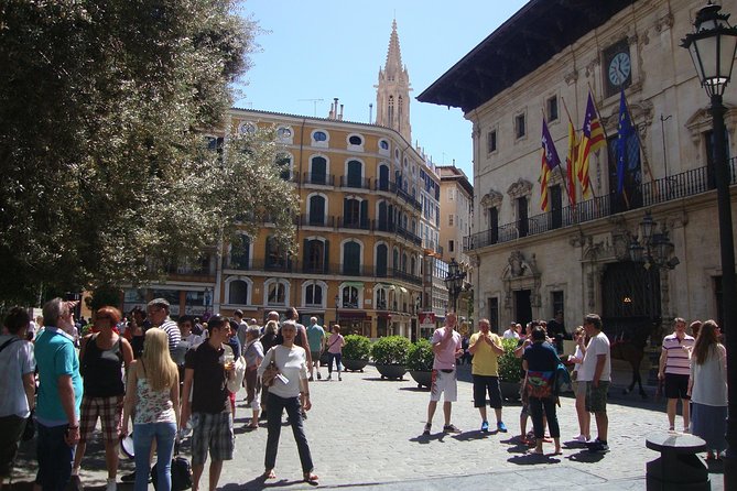 Palma old town tour with Wine & Tapas Tastings - Tapas that match your drinks: the practical payoff