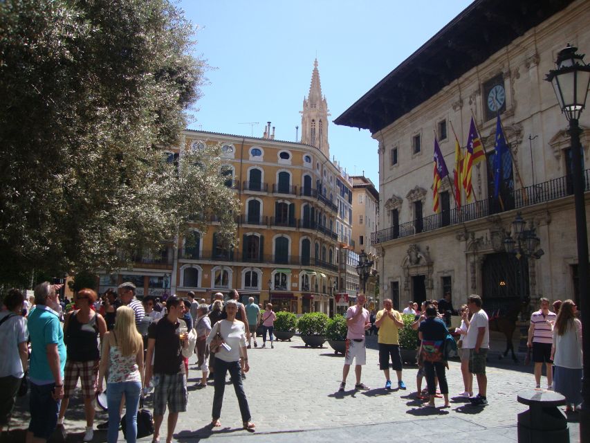 Palma Tour with Wine and Tapas Tasting - Who should book this Palma wine and tapas tour
