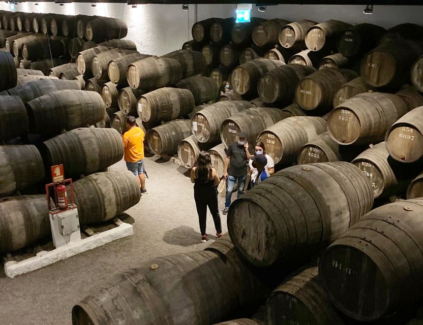 Porto: Wine Tasting with Tapas Walking Tour - Price and value: why $53 feels fair for what’s included