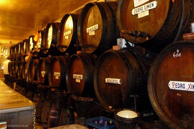 PREMIUM TAPAS TOUR: Tapas, Paella and Winery - Antigua Casa de Guardia: the 1840 winery start that sets the tone