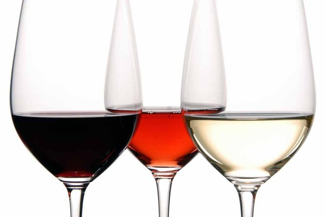 PREMIUM TAPAS TOUR: Tapas, Paella and Winery - Pasaje de Chinitas: tapas and flamenco culture in a historic setting
