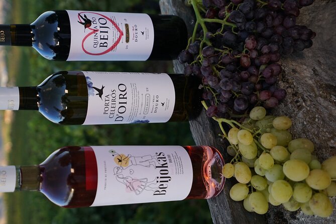 PREMIUM TASTING and TAPAS with GUIDED TOUR - Price and Value: What $60.34 Buys You