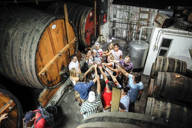 PREMIUM TASTING and TAPAS with GUIDED TOUR - Who Should Book This Tasting (and Who Might Skip It)