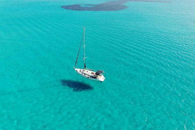 Private sailing with Paella and Tapas in Palma - Your boat choice: Trui, Gambitero, or Servus (and why it matters)
