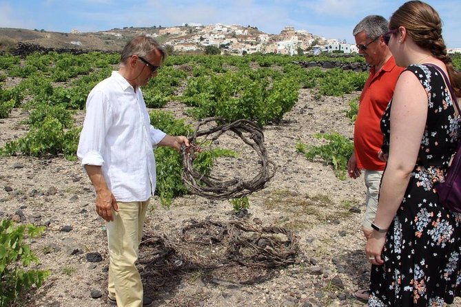 Private Santorini Sunset Wine Tour with Tastings and Tapas - Stop 1: Estate Argyros for a Calm, Classic Start