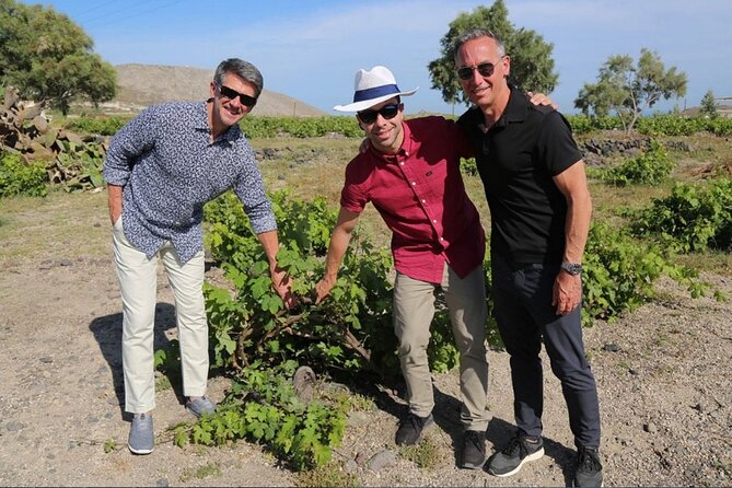 Private Santorini Sunset Wine Tour with Tastings and Tapas - Price and Value: Is $482.72 Per Person Worth It?