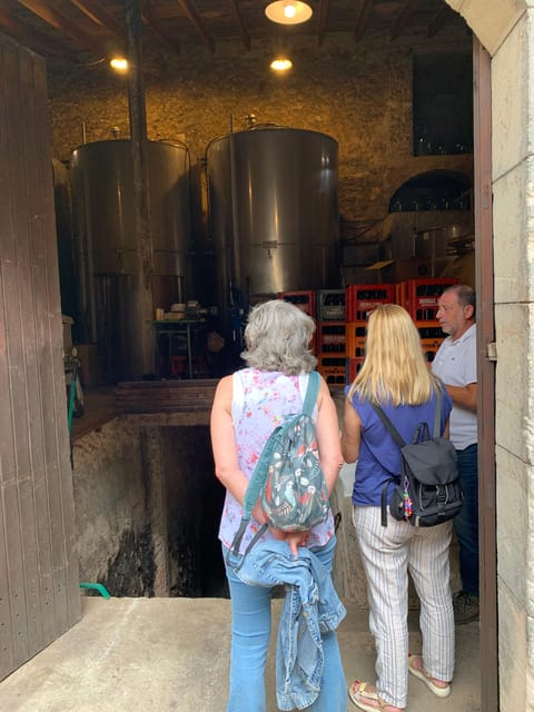 Private tour: Wine and tapas, experience real Mallorca - Why Mallorca wine tastes different out in the countryside