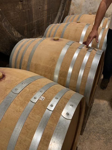 Private tour: Wine and tapas, experience real Mallorca - The old family property: 19th-century roots, modern hands