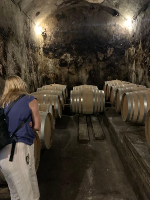 Private tour: Wine and tapas, experience real Mallorca - How the 3-hour format keeps it fun, not rushed