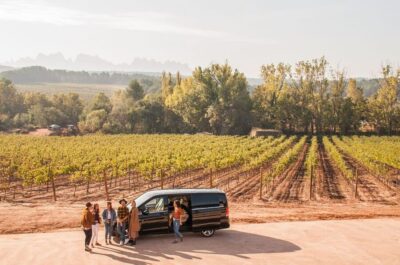 Private Wine, Tapas & Cava Experience from Barcelona - How Two Catalonia Regions Change What’s in Your Glass