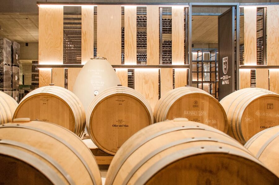 Private Wine, Tapas & Cava Experience from Barcelona - Pla de Bages at Oller del Mas: A Castle Setting with a Generational Mission