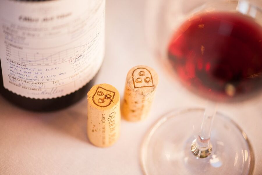 Private Wine, Tapas & Cava Experience from Barcelona - Tastings Up to 8: How to Taste Like You Mean It