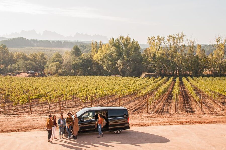 Private Wine, Tapas & Cava Experience from Barcelona - How Two Catalonia Regions Change What’s in Your Glass