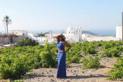 Private Wine Tour in 3 Wineries with 12 Wine Tastings and Tapas - The 4-hour route: Exo Gonia to Argyros to Venetsanos