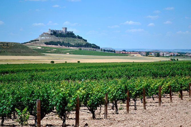 Ribera del Duero Small Group Tour: Tapas & Wine Tasting - Key things to know at a glance