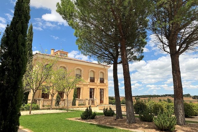 Ribera del Duero Small Group Tour: Tapas & Wine Tasting - The Cave Moment: Where the Day Gets Memorable
