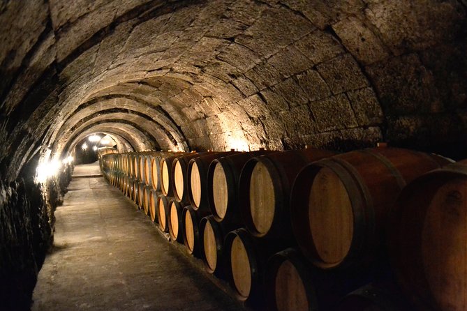 Ribera del Duero Small Group Tour: Tapas & Wine Tasting - Ribera del Duero Wine Day: Four Stops, Twelve Wines, and Real Production Details