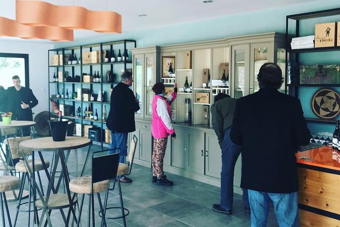 Ronda Private Wine Tour and Tapas from Marbella - Price and value: is $473.05 per person a smart deal?