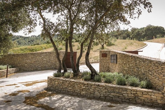 Ronda Private Wine Tour and Tapas from Marbella - Who this tour suits best (and who may want to adjust expectations)