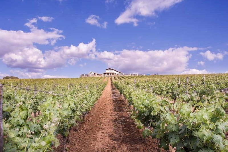 Ronda: Winery Tour with Wine Tasting and Tapas - What makes this Ronda winery tour different from a quick tasting?