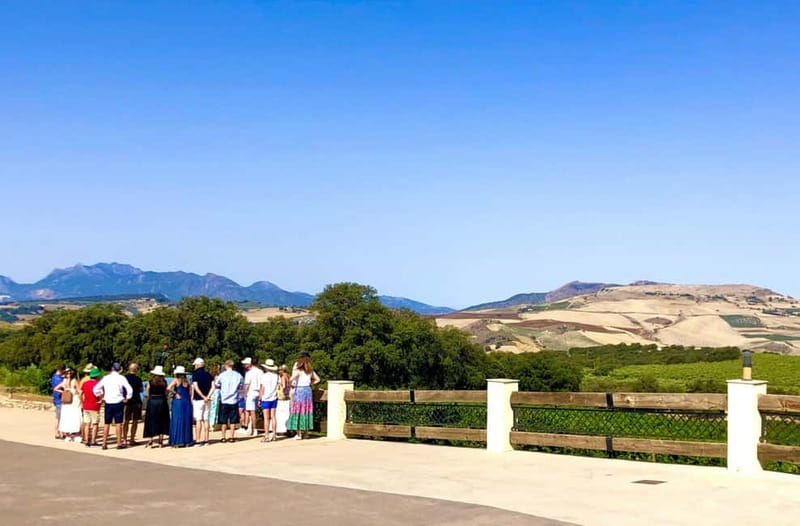 Ronda: Winery Tour with Wine Tasting and Tapas - Cellar and production rooms: from grape selection to bottling