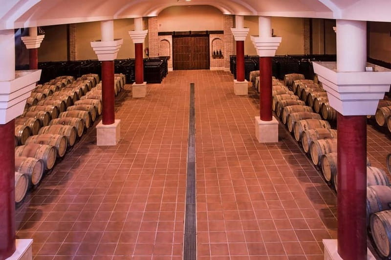 Ronda: Winery Tour with Wine Tasting and Tapas - Tapas pairing: what you should expect from the food