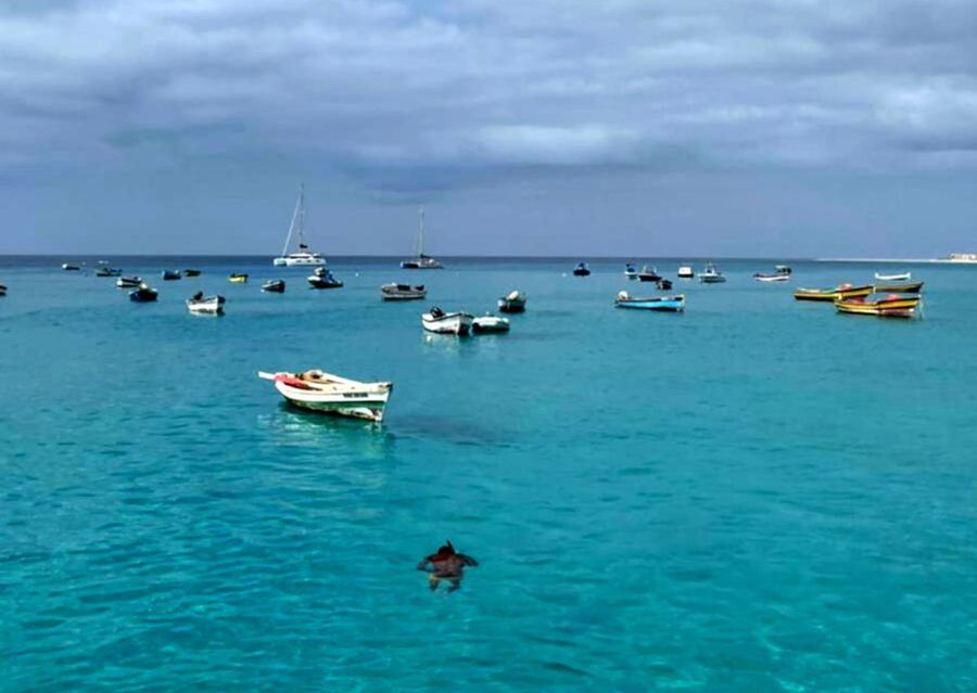 Sal island: Santa Maria city tour, street art and tapas - Where Santa Maria’s Pontão tells the island story